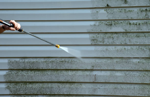 Best Fence Cleaning  in Lamar, MO